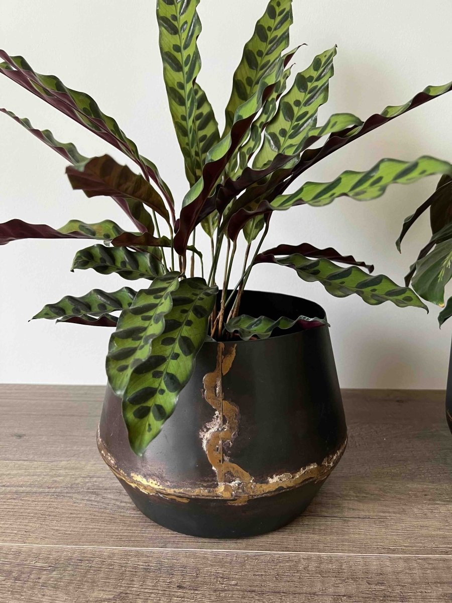 Cache - pot en métal marron FUKKO - Décoration plantes intérieur - B&Inside