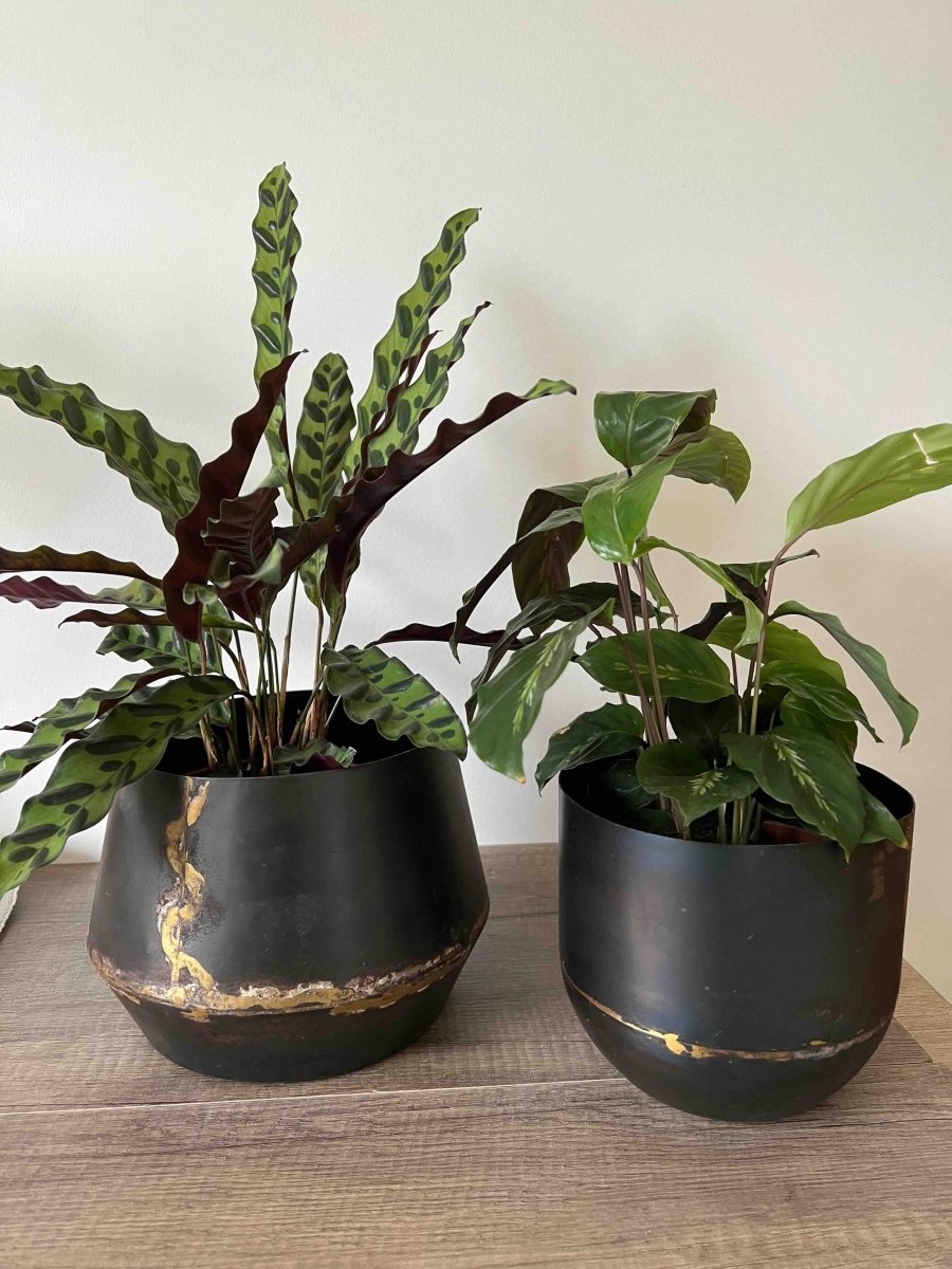 Cache - pot en métal marron FUKKO - Décoration plantes intérieur - B&Inside