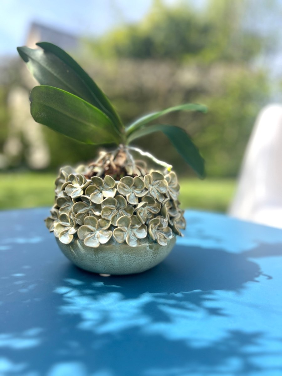 HORTENSE - Cache - pot - B&Inside