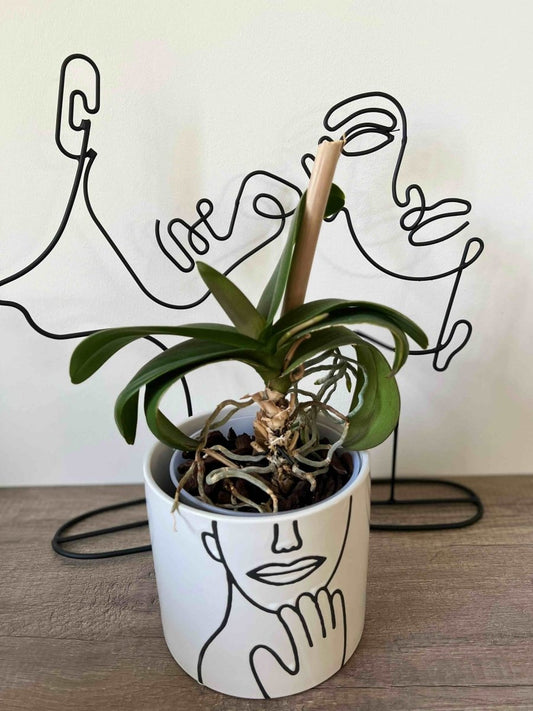 POT COVER - Cache - pot blanc motif visage - B&Inside