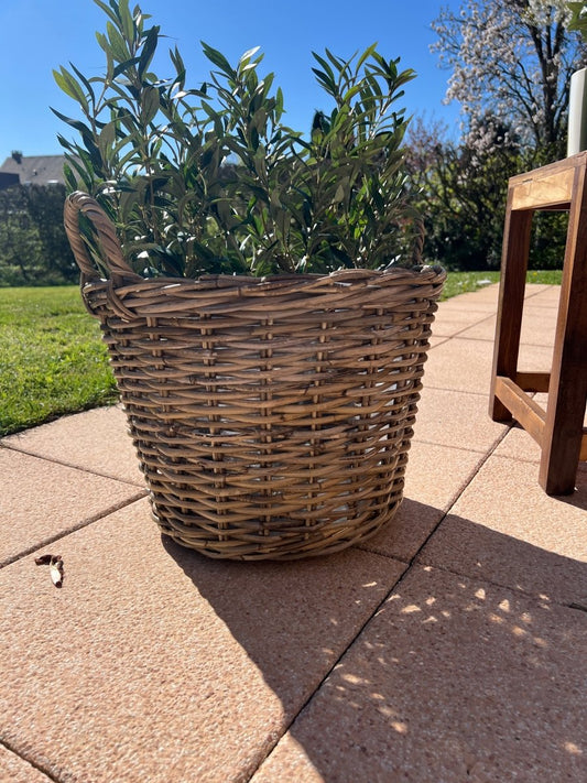 YSORIA - Panier en osier avec poignées - B&Inside