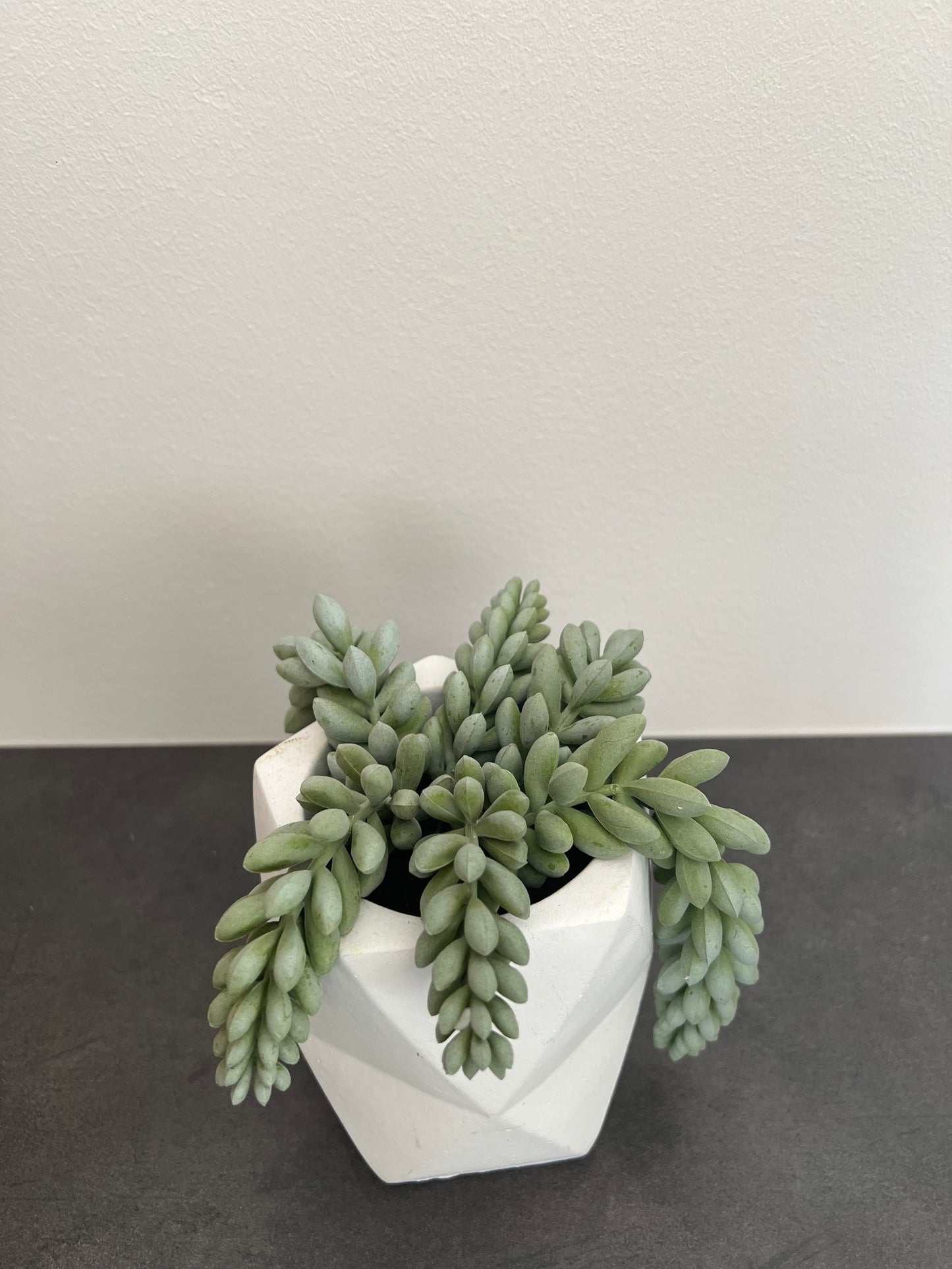 GREEN GARDEN - Plante artificielle - B&Inside