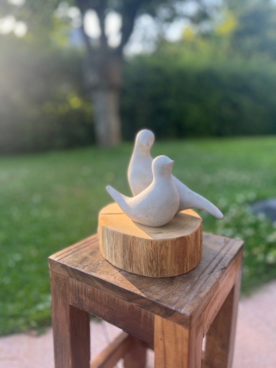 Duo Colombes décoratives en ciment DOVES - B&Inside