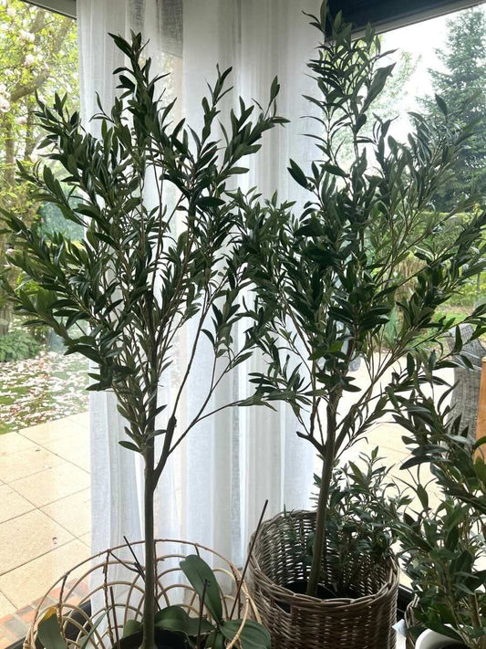 Olivier Artificiel 166 cm - Plante Décorative Méditerranéenne Réaliste - B&Inside