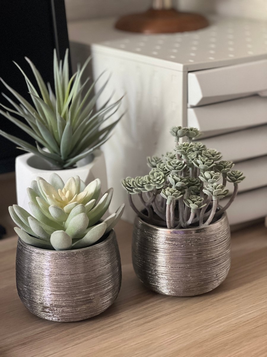Plante grasse artificielle IMMORTAL FLOWER - Pot argent brossé - B&Inside