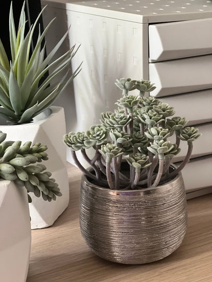 Plante grasse artificielle IMMORTAL FLOWER - Pot argent brossé - B&Inside