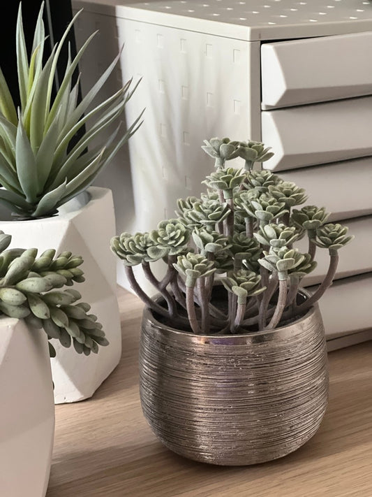 Plante grasse artificielle IMMORTAL FLOWER - Pot argent brossé - B&Inside