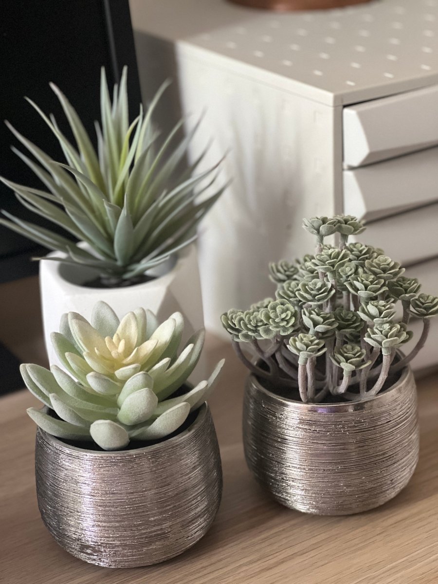 Plante grasse artificielle IMMORTAL FLOWER - Pot argent brossé - B&Inside