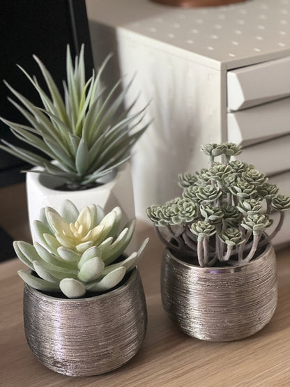 Plante grasse artificielle IMMORTAL FLOWER - Pot argent brossé - B&Inside