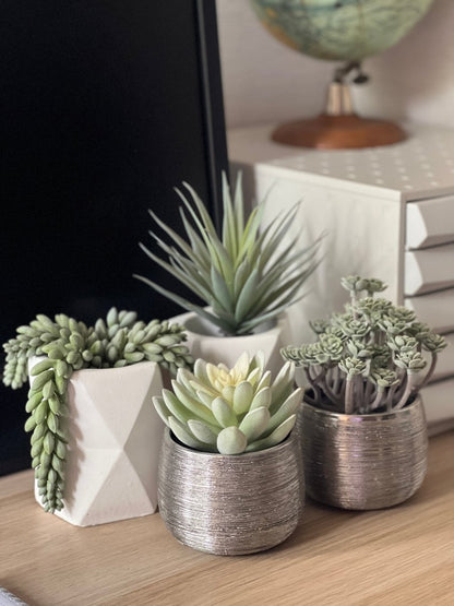 Plante grasse artificielle IMMORTAL FLOWER - Pot argent brossé - B&Inside