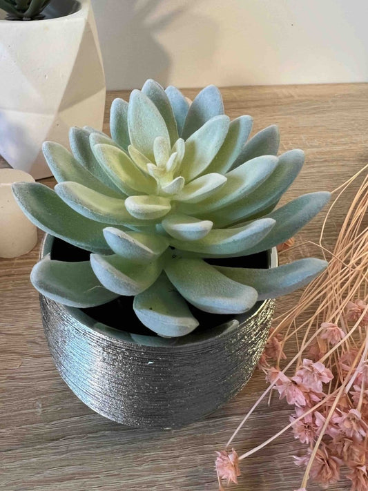 Plante grasse artificielle JARDIN DU DESERT avec pot argent - Décoration moderne - B&Inside