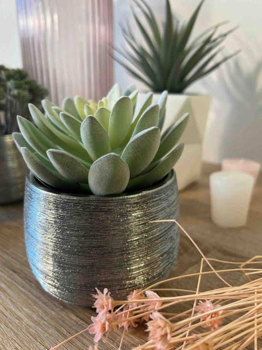 Plante grasse artificielle JARDIN DU DESERT avec pot argent - Décoration moderne - B&Inside