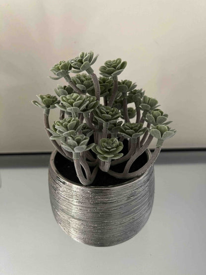 Plante grasse artificielle pot argent brossé sans entretien - IMMORTAL FLOWER - B&Inside