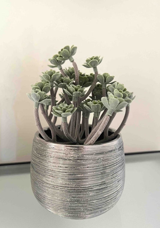Plante grasse artificielle pot argent brossé sans entretien - IMMORTAL FLOWER - B&Inside