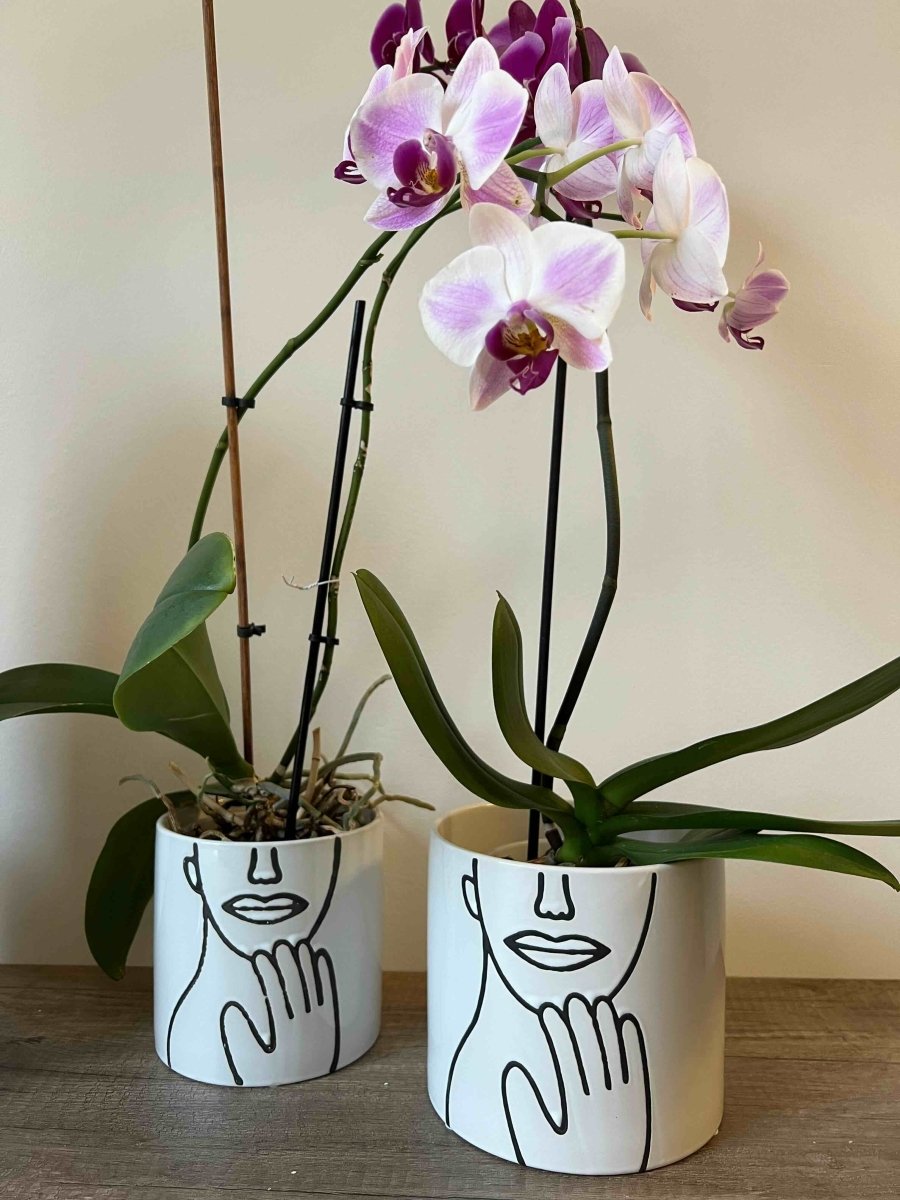 POT COVER - Cache - pot blanc motif visage - B&Inside