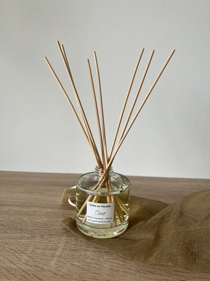 DIFFUSEUR D'AMBIANCE - B&Inside